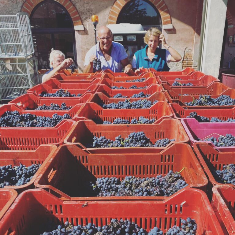 Oltrepò, Tenuta Mazzolino festeggia la quarantesima vendemmia.