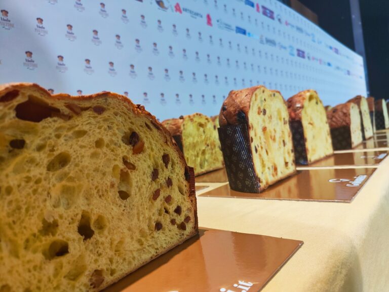 Mastro Panettone, la finale parla campano.