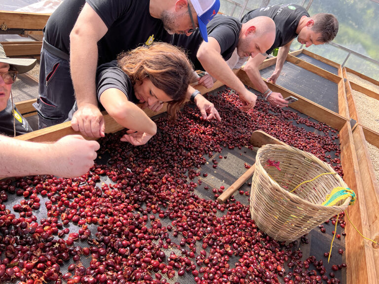 Parallelismi tra vino e caffè, al Teatro del Gusto di Napoli ci sono i The Farmers