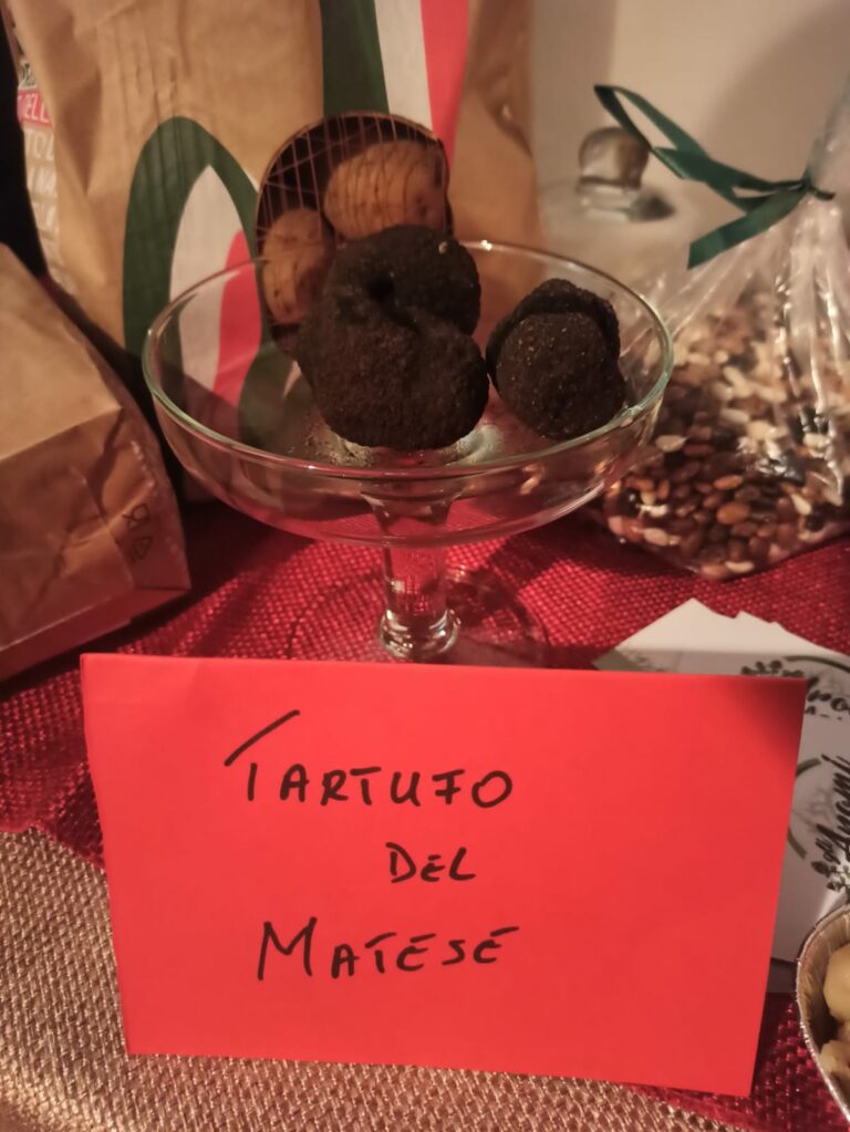 Il tartufo della Campania e i vitigni antichi da recuperare