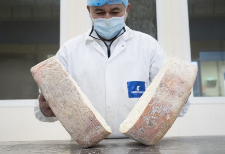 2024 da record per il Gorgonzola Dop